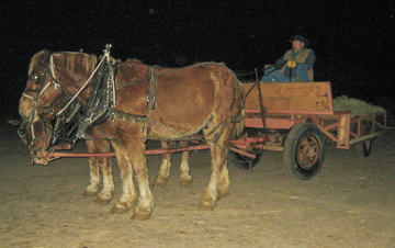 Macdonalds ranch hayride